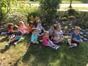 Butterfly garden